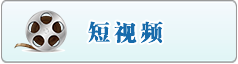 女骚艹p捅B内射